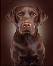 Load image into Gallery viewer, Dogs Diamond Art Painting Kits