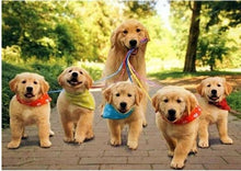 Load image into Gallery viewer, Dogs Diamond Art Painting Kits
