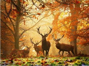 Amazing Deer Paintings - DIY Diamond Art