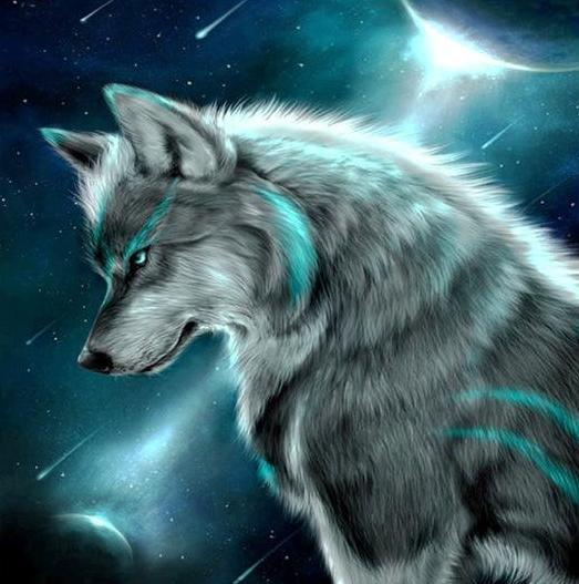 Stunning Wolf in the Night – Paint by Diamonds